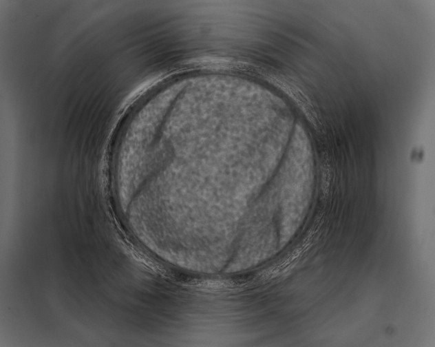 X0000098071074200804251433