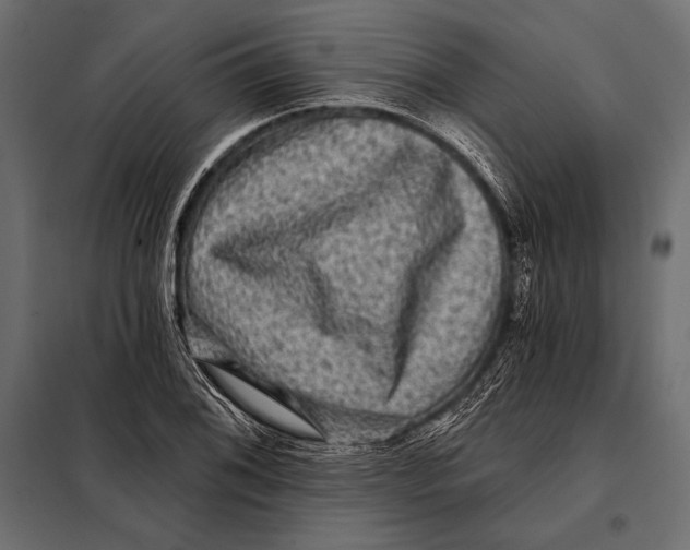 X0000098071076200804251433