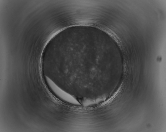 X0000098071077200804251433