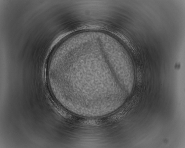 X0000098071078200804251432