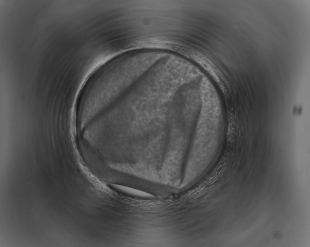 X0000098071080200804251432