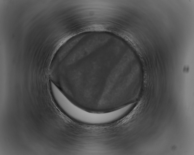 X0000098071081200804251432