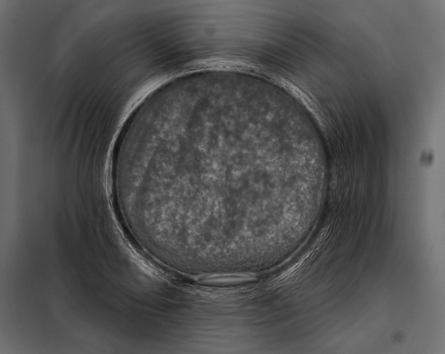 X0000098071082200804251432