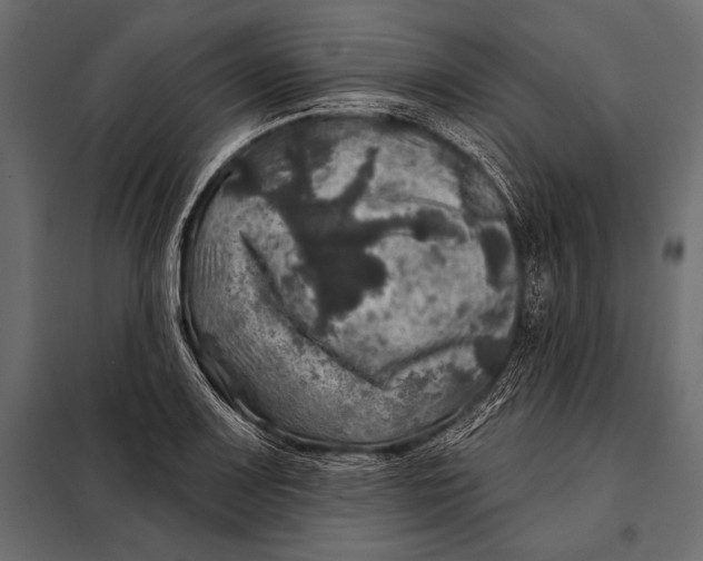 X0000098071083200804251432