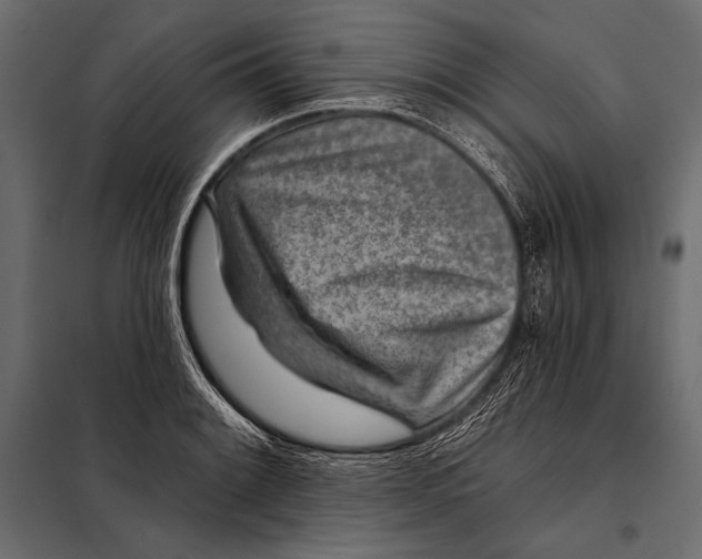 X0000098071084200804251432