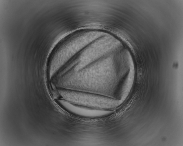 X0000098071085200804251432