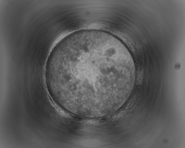 X0000098071086200804251432