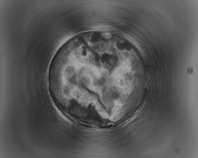 X0000098071087200804251432