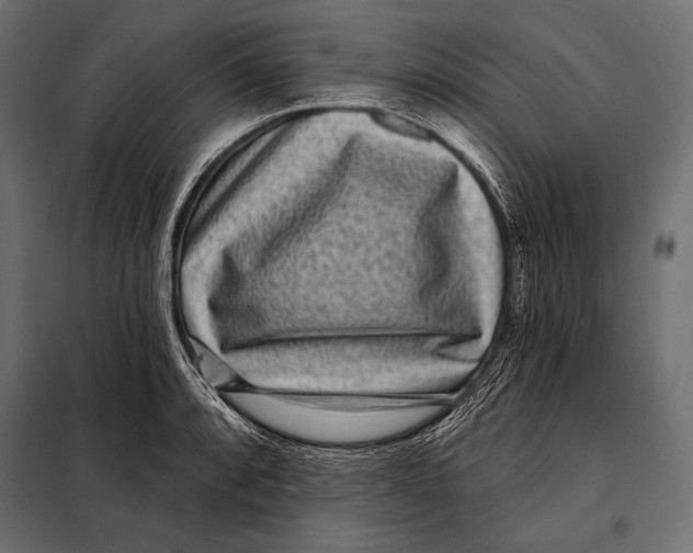 X0000098071088200804251432