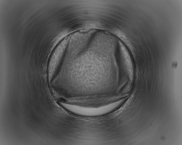 X0000098071089200804251432