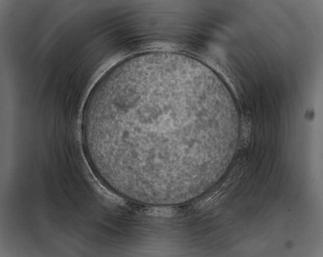 X0000098071090200804251432