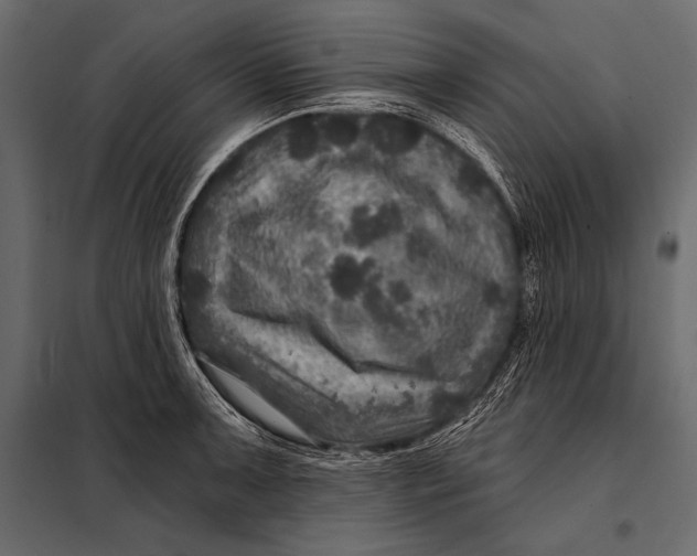 X0000098071091200804251432