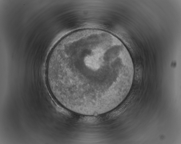 X0000098071094200804251432