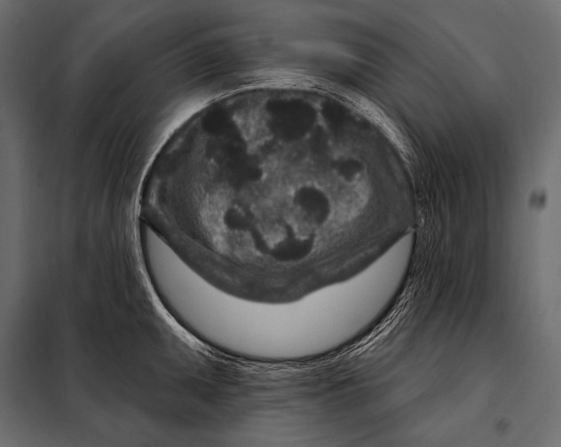 X0000098071095200804251432