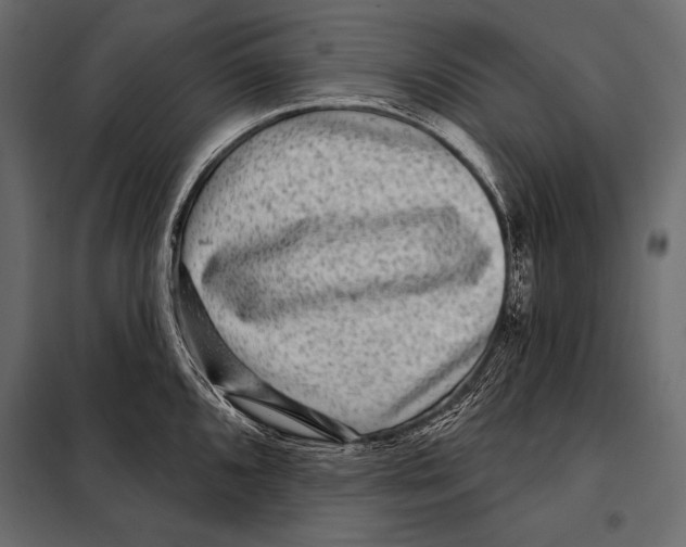 X0000098071096200804251432