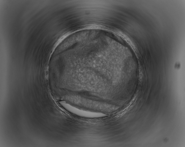 X0000098071097200804251432