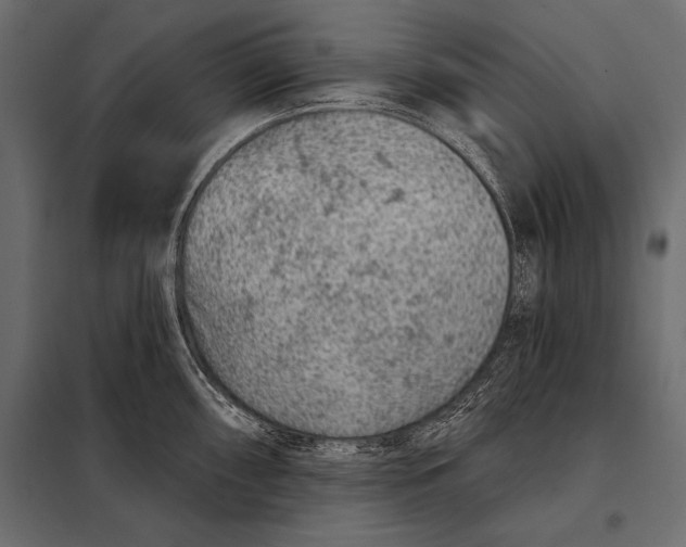 X0000098071098200804251432