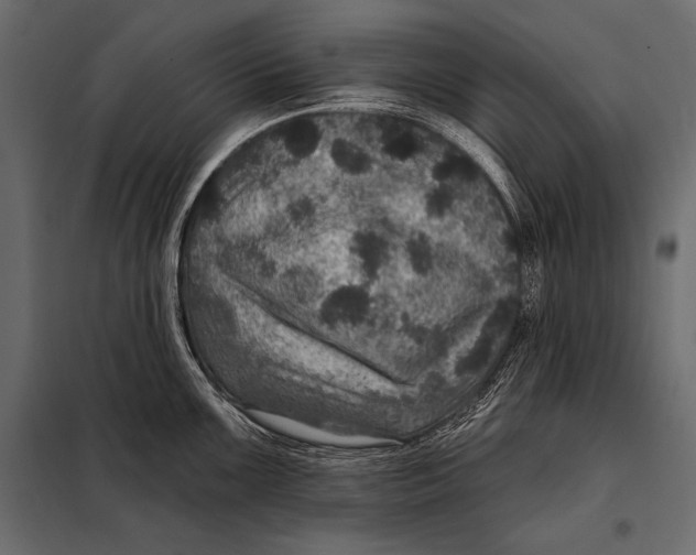 X0000098071099200804251432