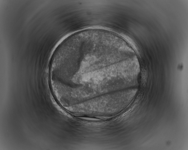 X0000098071100200804251432