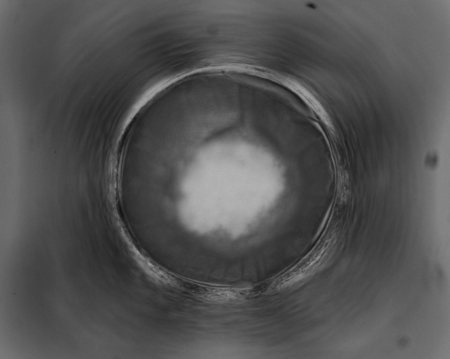 X0000098071101200804251432