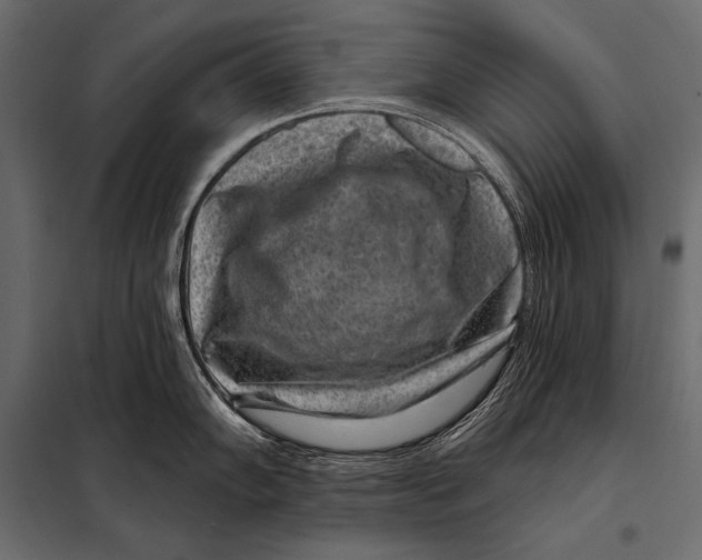 X0000098071102200804251432