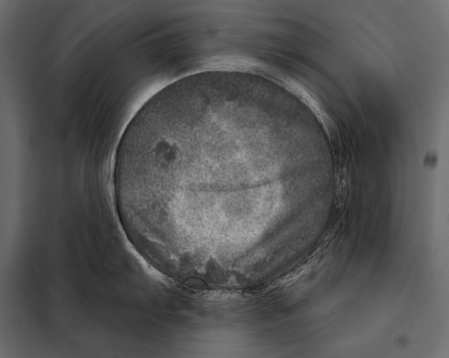 X0000098071103200804251432