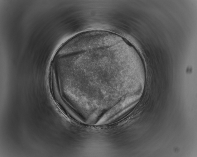 X0000098071104200804251432