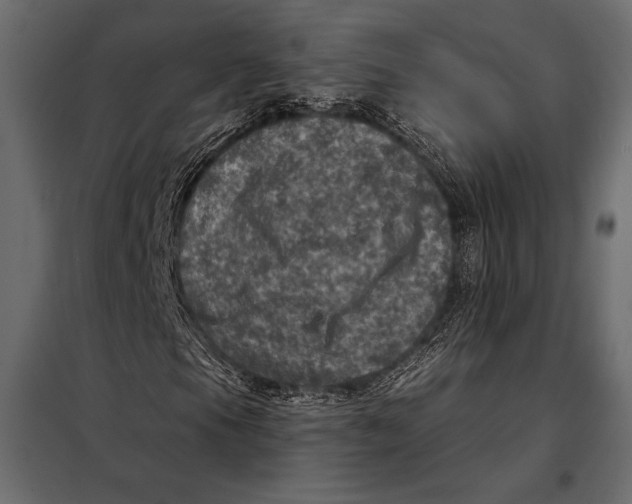 X0000098071105200804251431