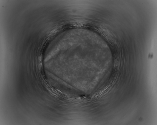 X0000098071106200804251431