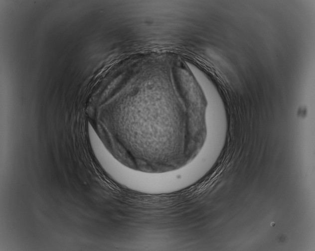 X0000098071107200804251431