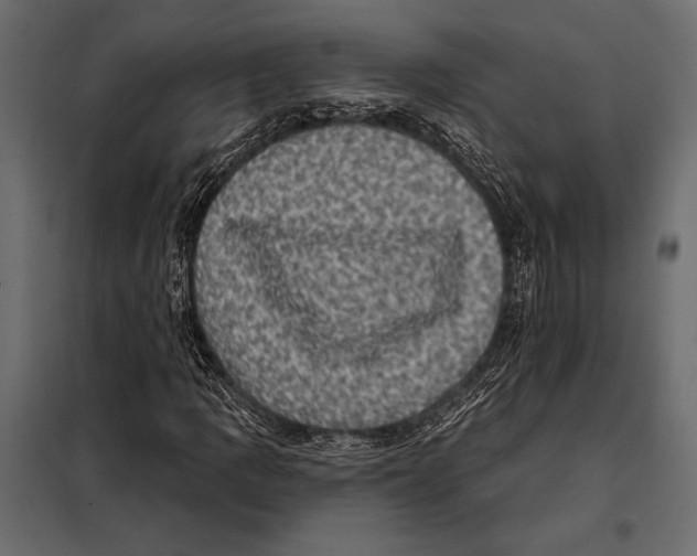 X0000098071109200804251432