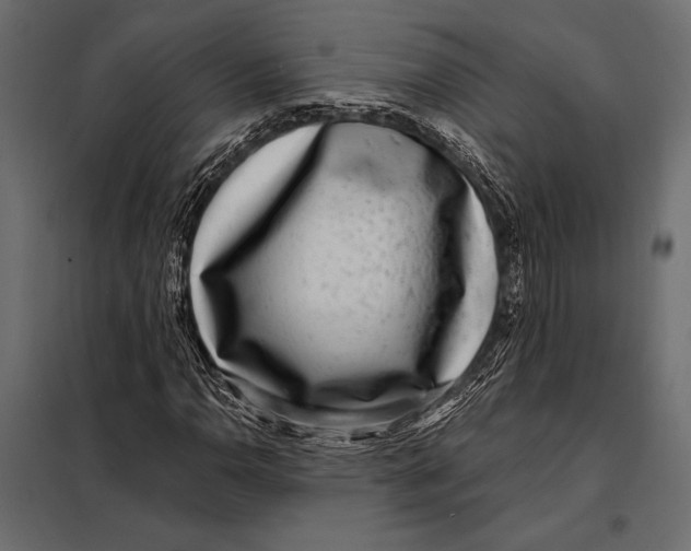 X0000098071110200804251432