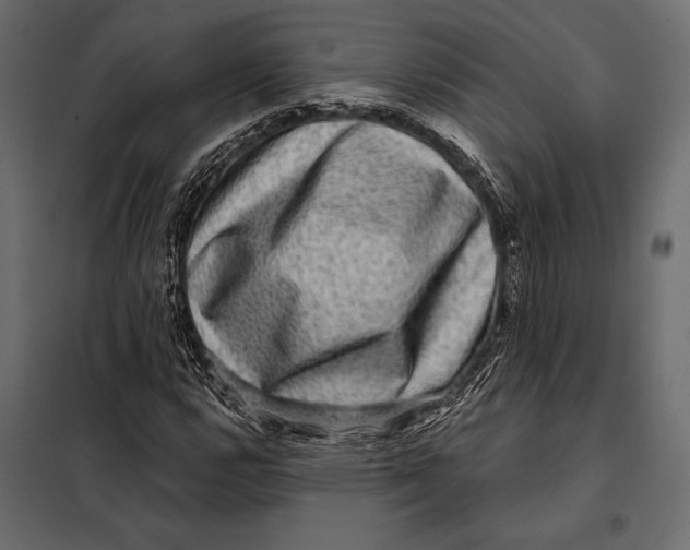 X0000098071112200804251432