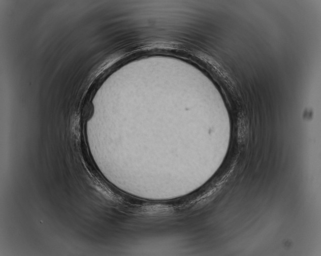 X0000098071113200804251432