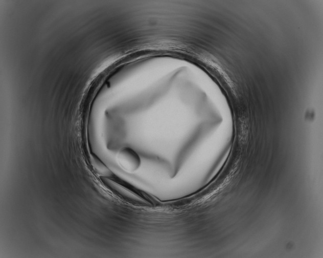 X0000098071114200804251432