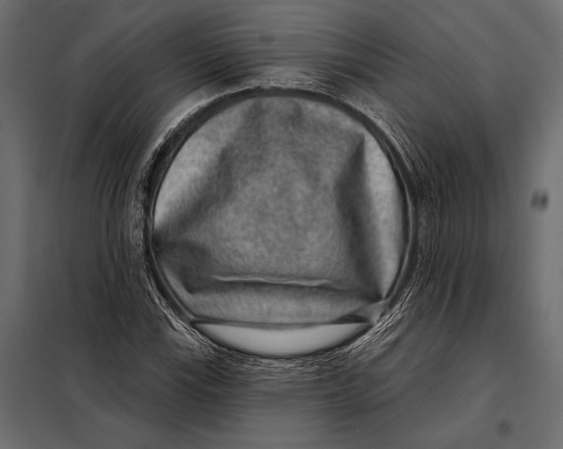 X0000098071115200804251432