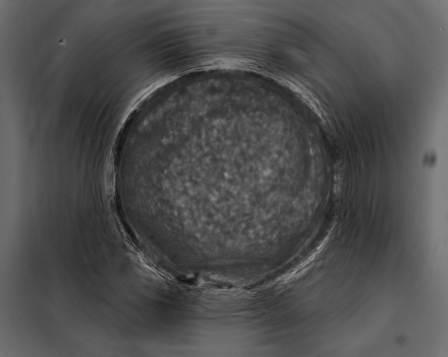 X0000098071117200804251432