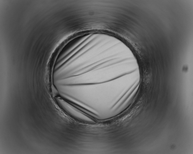 X0000098071118200804251432