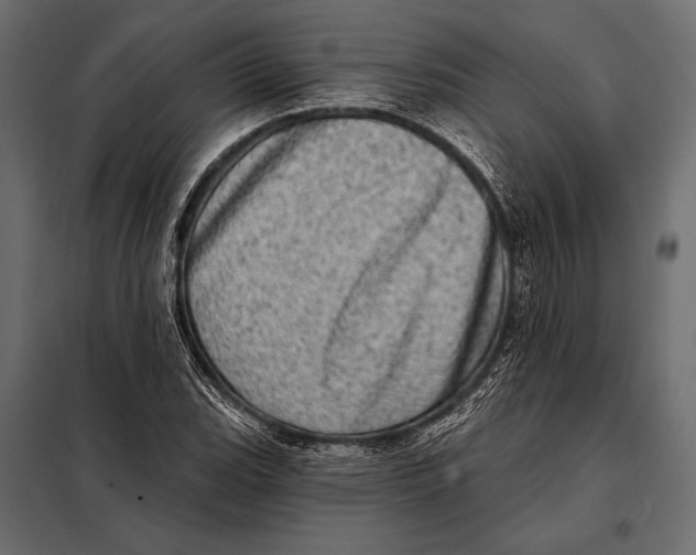 X0000098071119200804251432