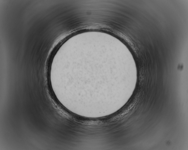 X0000098071122200804251432