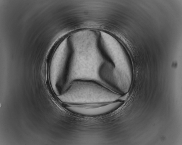 X0000098071123200804251432