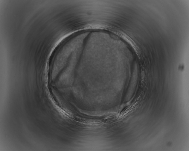 X0000098071124200804251432