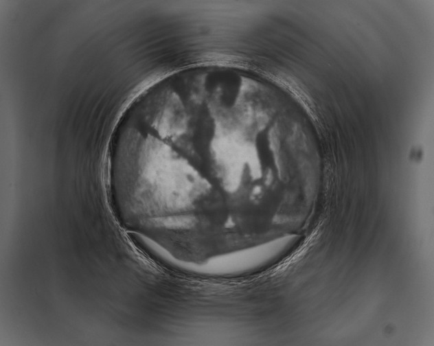 X0000098071125200804251432