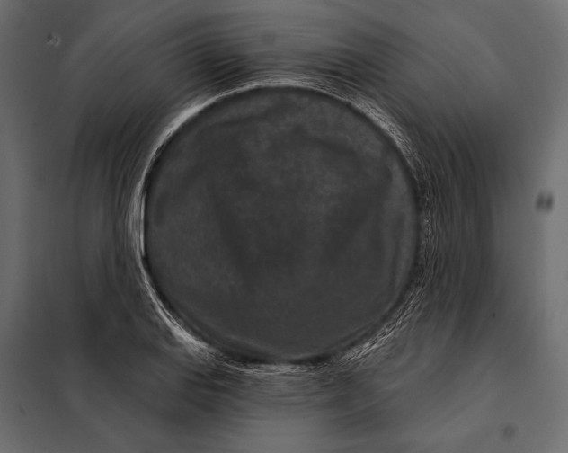 X0000098071127200804251432