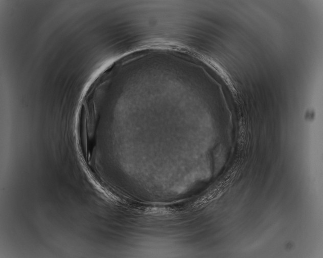 X0000098071128200804251432