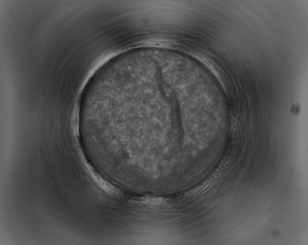 X0000098071131200804251432