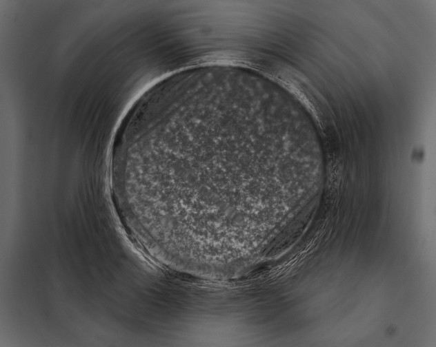 X0000098071132200804251432