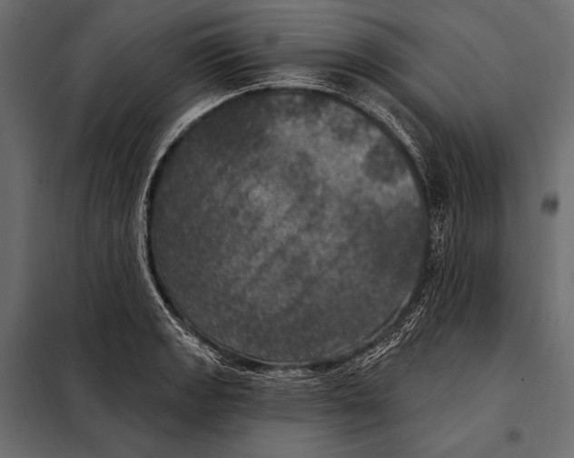 X0000098071133200804251432