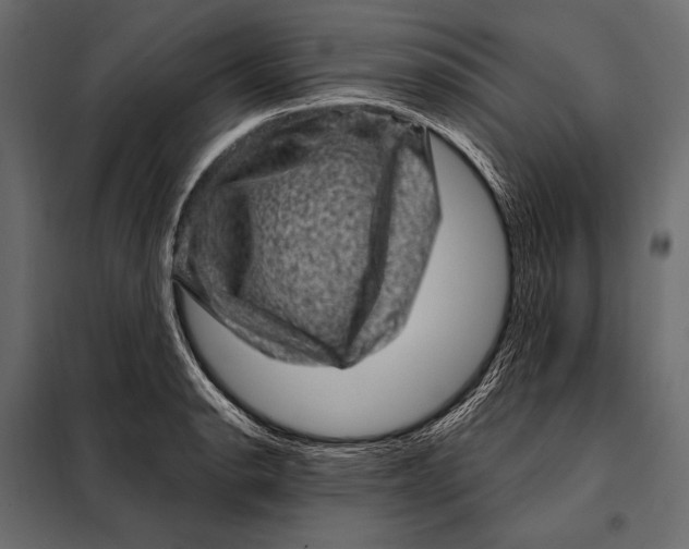 X0000098071134200804251432