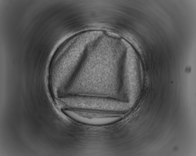 X0000098071136200804251432